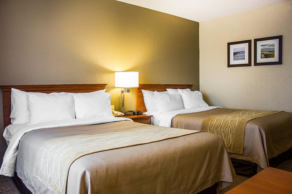 Comfort Inn Guilford Near I-95 Eksteriør billede